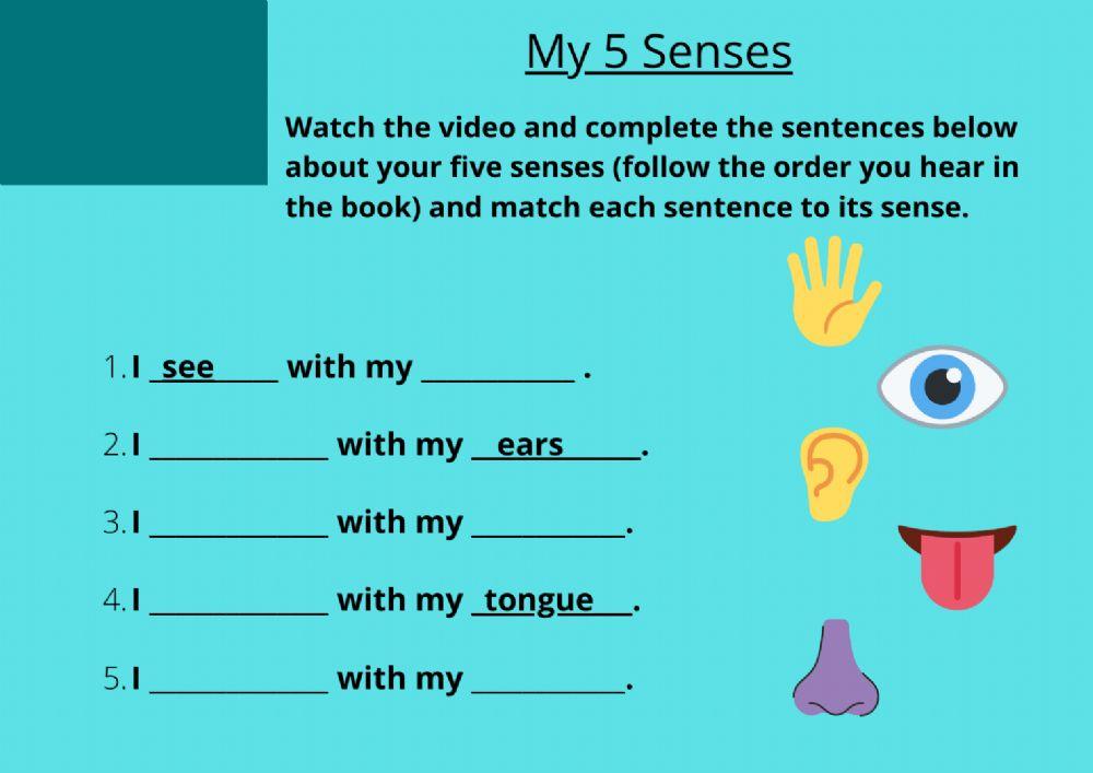 My five Senses