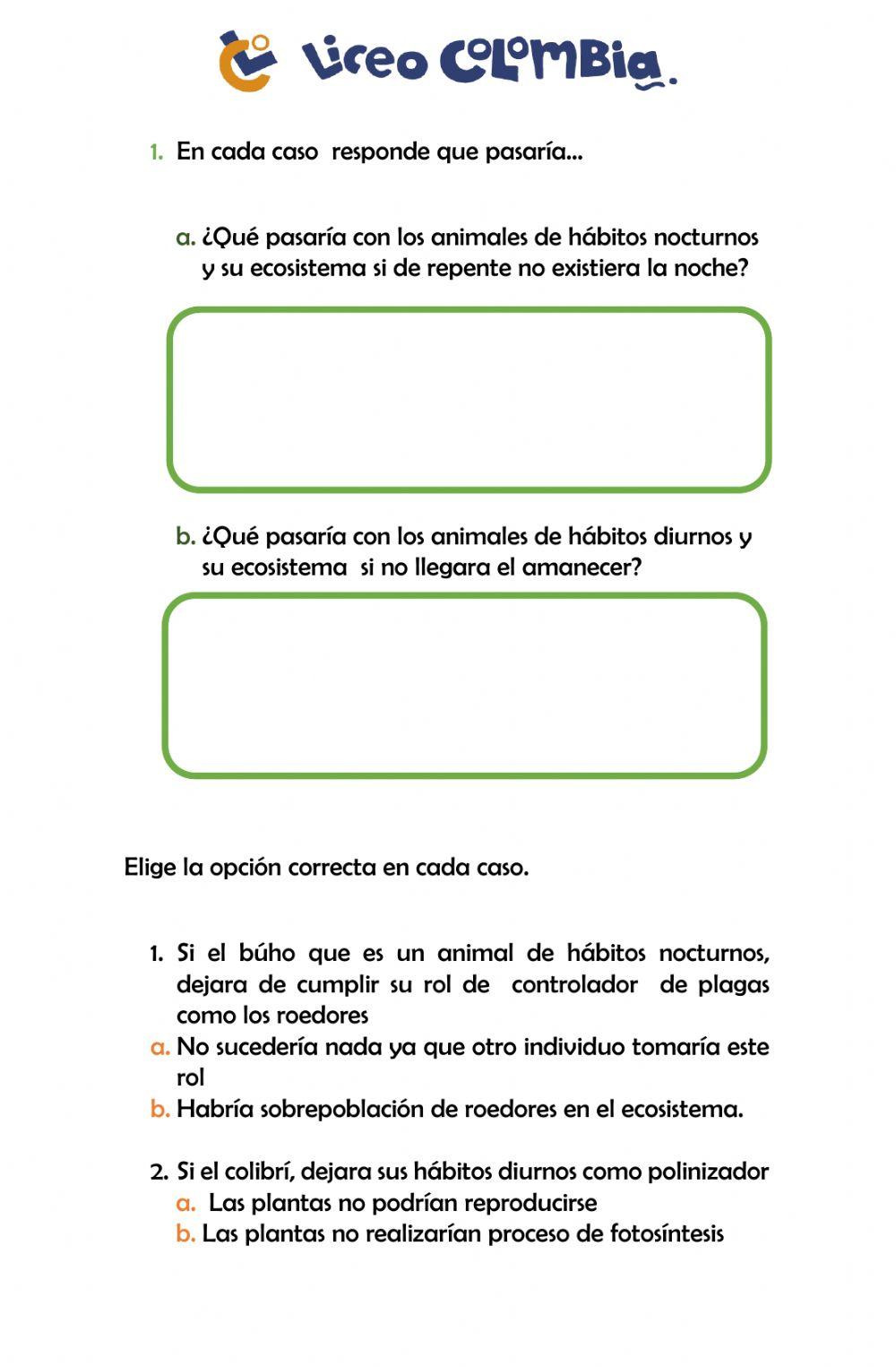 Hábitos diurnos y nocturnos