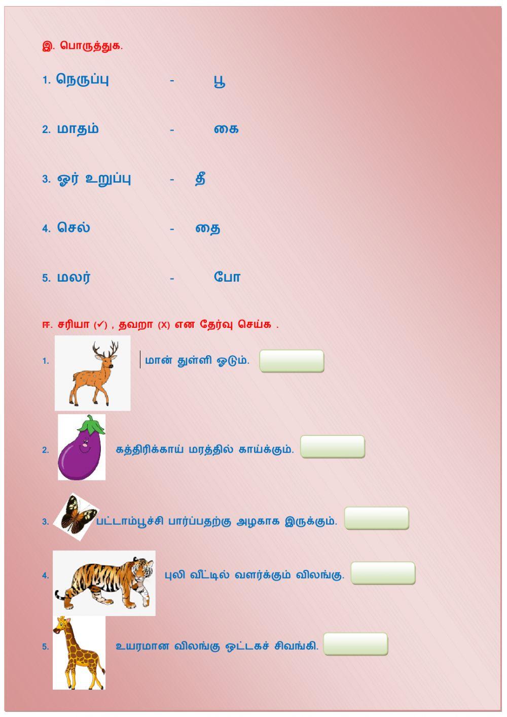 III Std Tamil Basics