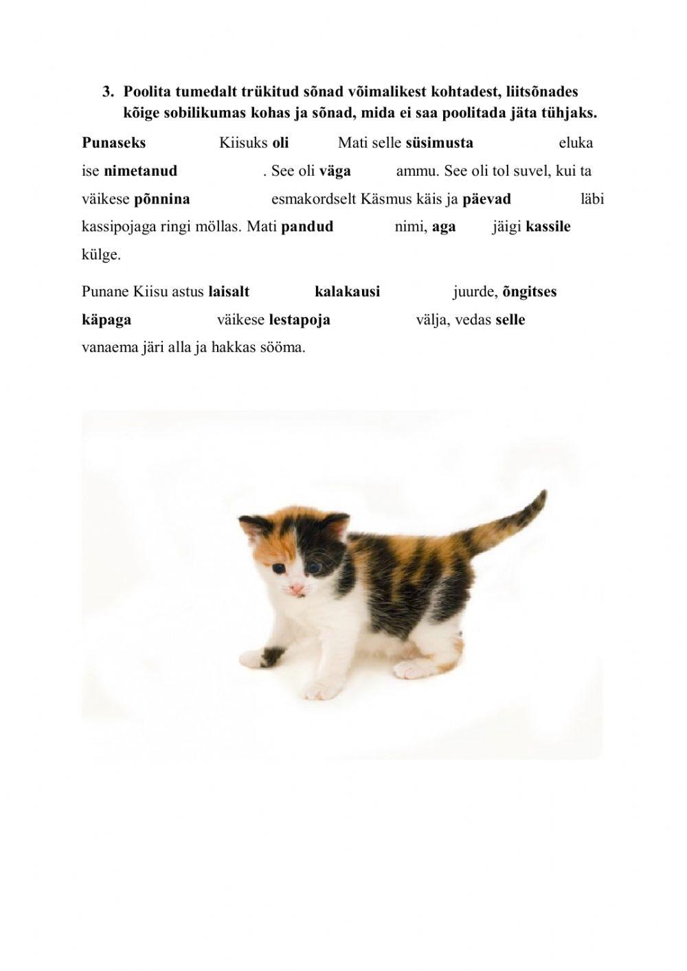 Poolitamine ja võõrsõnad