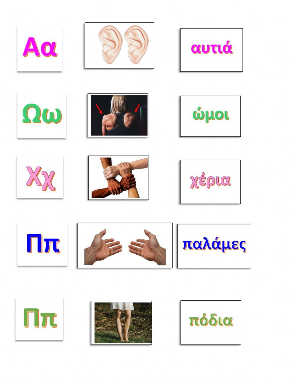 Τα μέρη του σωμάτος-Λεξιλόγιο