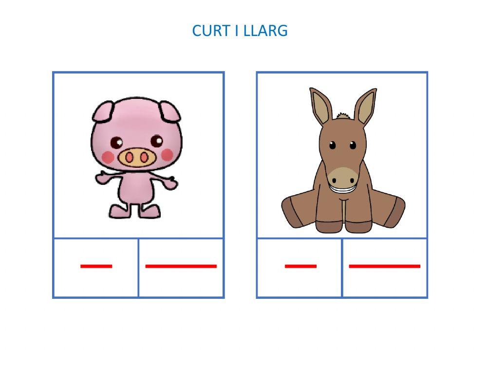 Curt i llarg