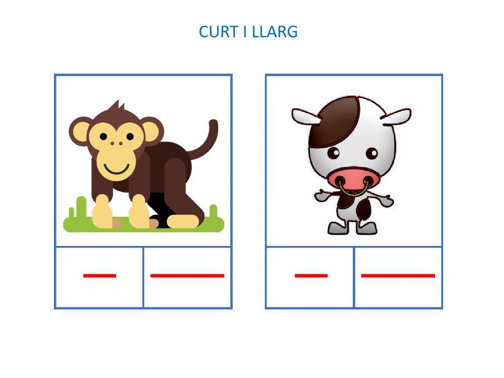 Curt i llarg