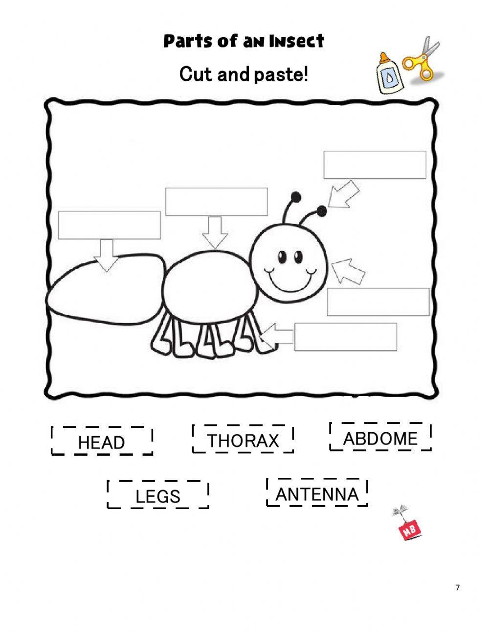 The Ant and the Grasshopper