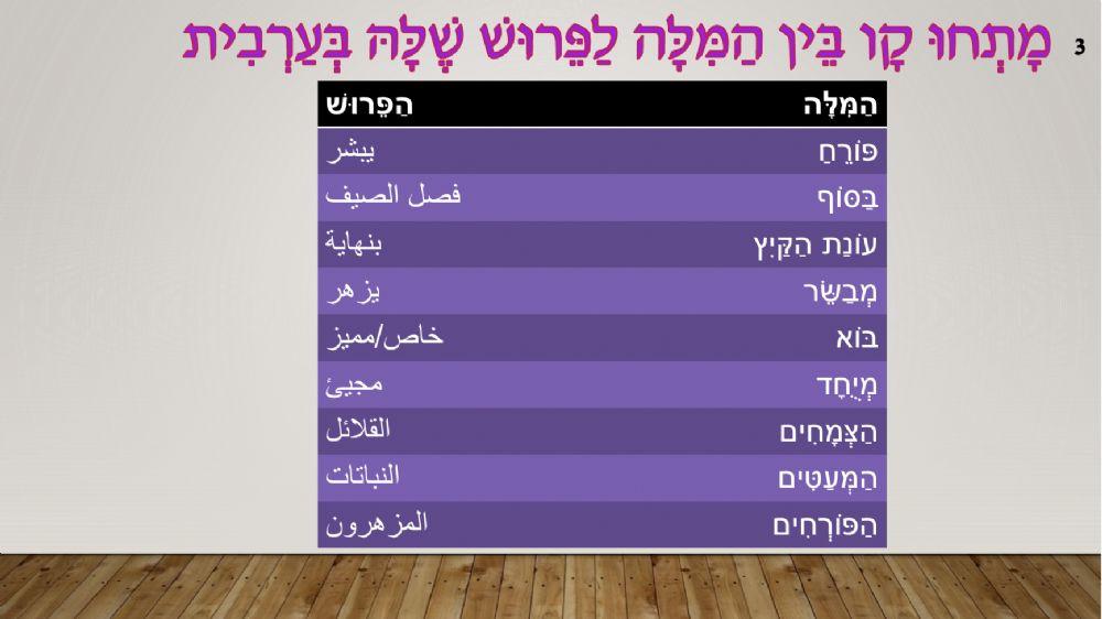 עונת הסתיו 7+8