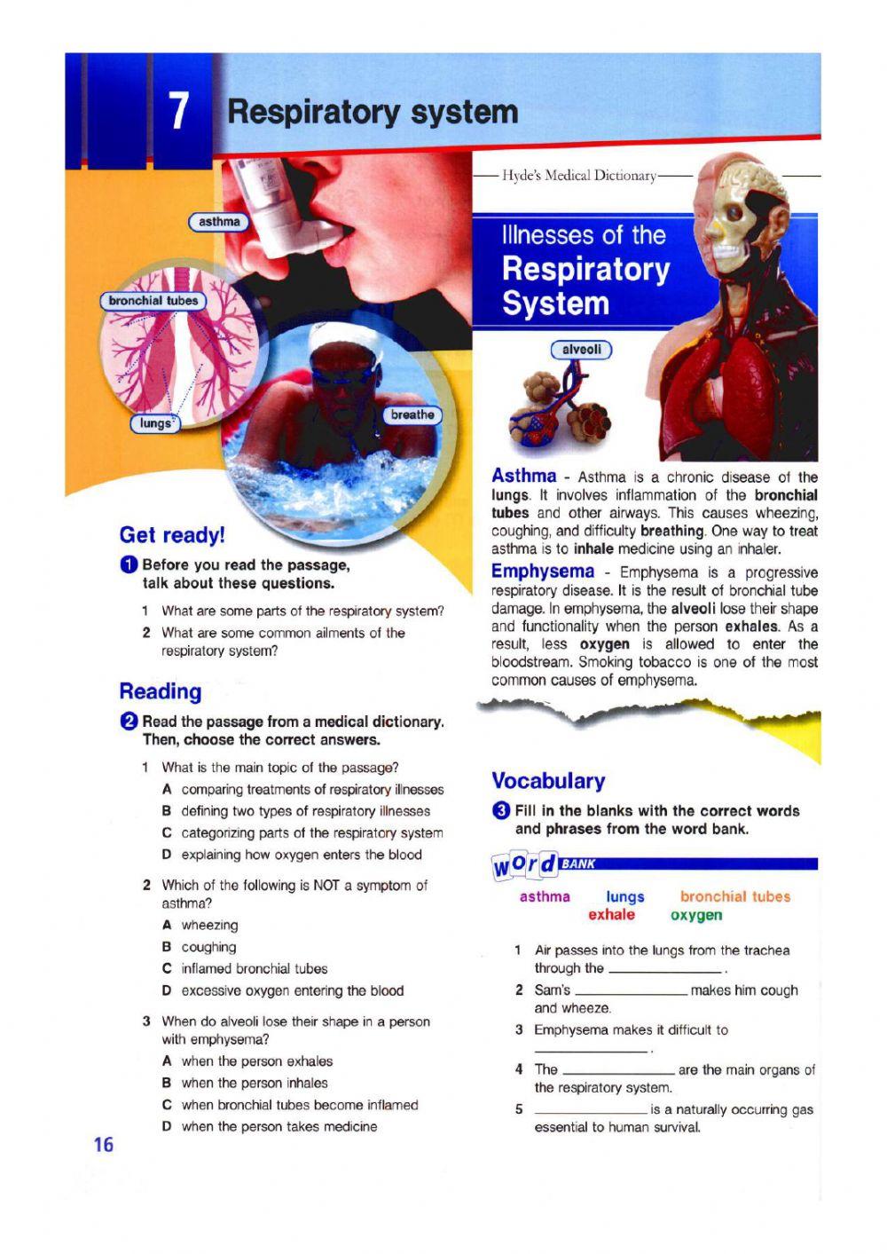 Respiratory system