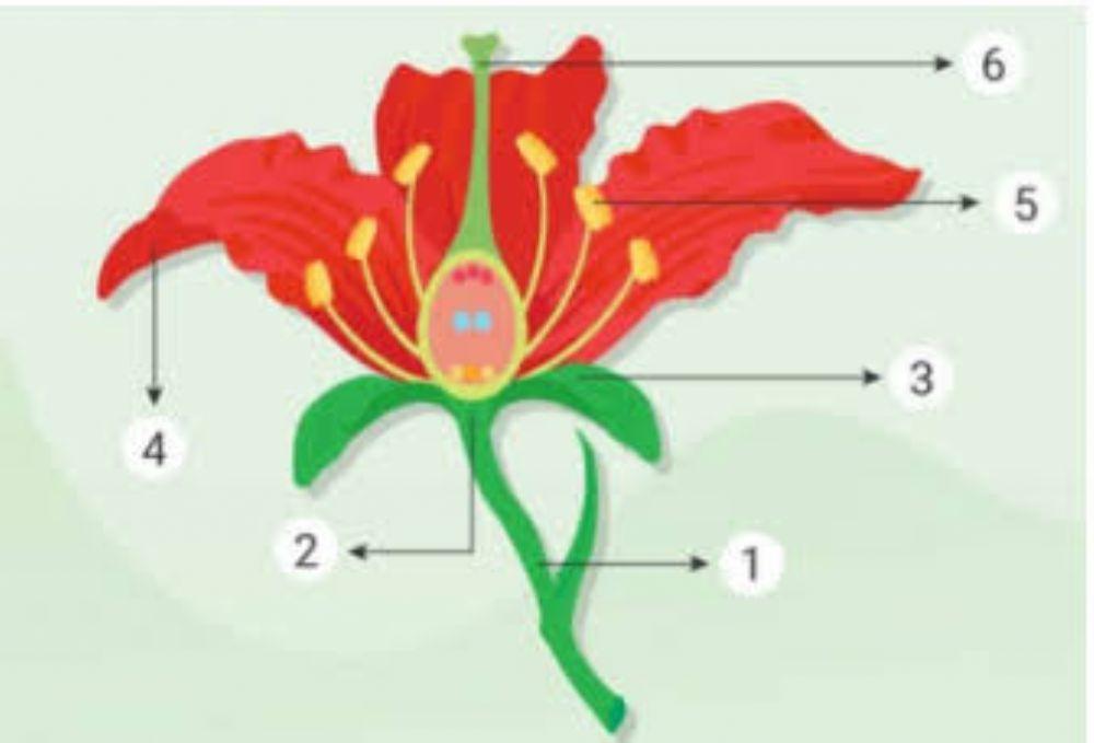 Tema 1 selamatkan makhluk hidup