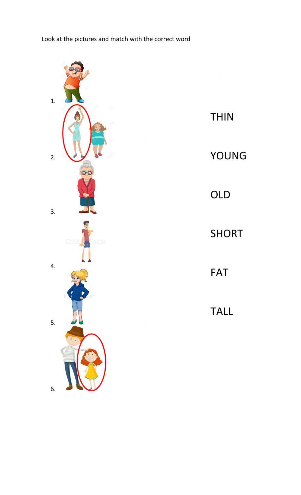 Look at the pictures and match with the correct word