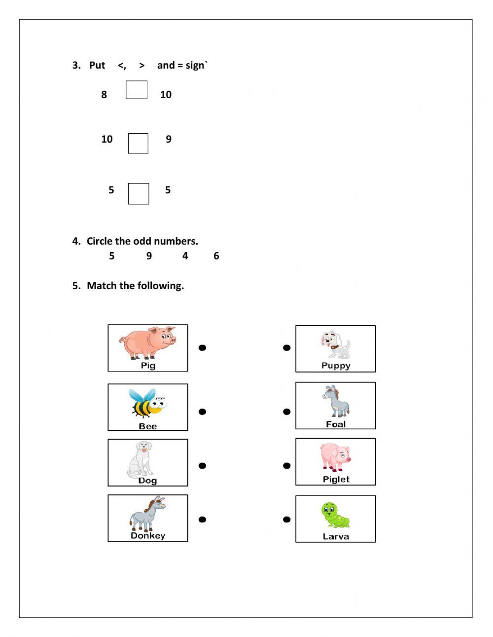 Revision worksheets