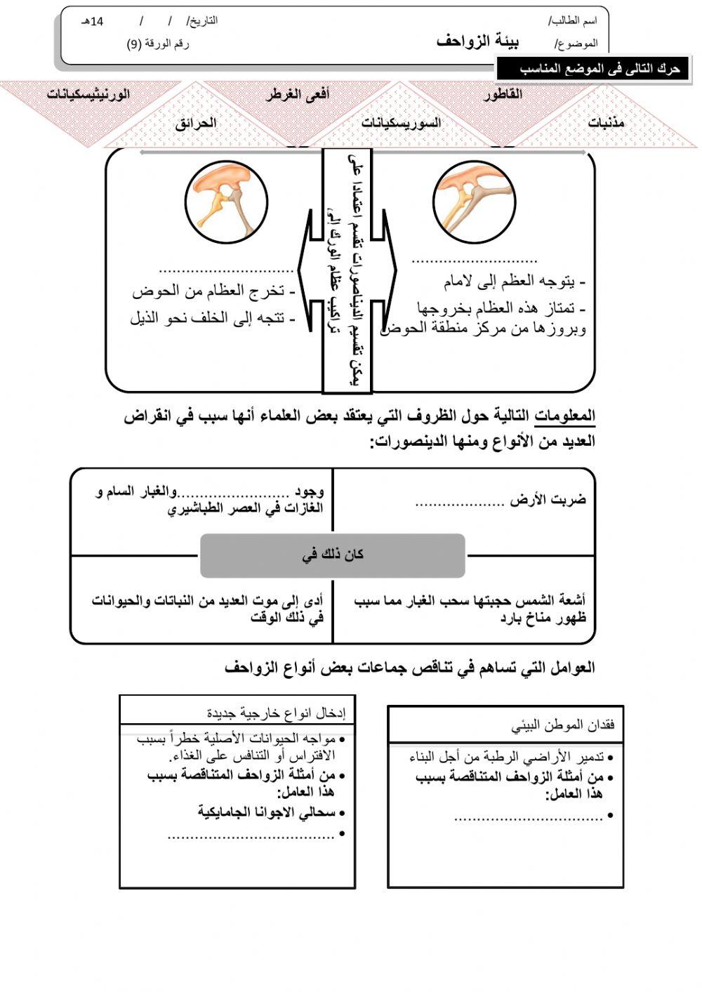 ورقة 9تفاعلية2