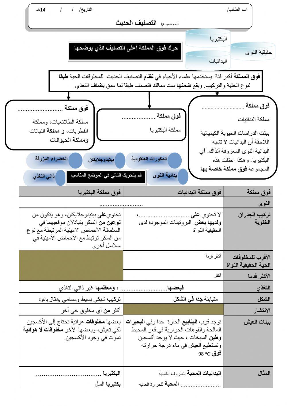 ورقة 9تفاعلية1