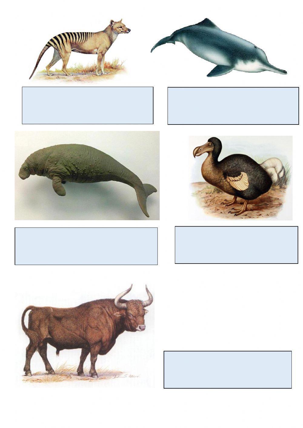 Антропічний вплив на біорізноманіття