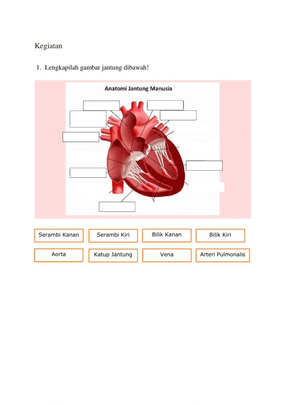 Tema 4 Subtema 1 Pembelajaran 1