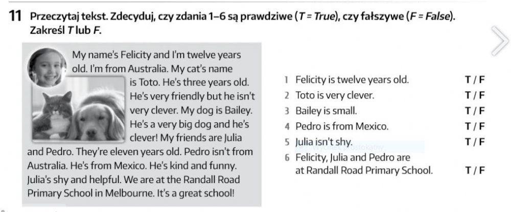 brainy 4, ex.11, p27 WB