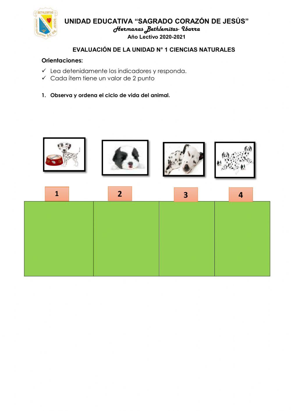Evaluación Ciencias Naturales