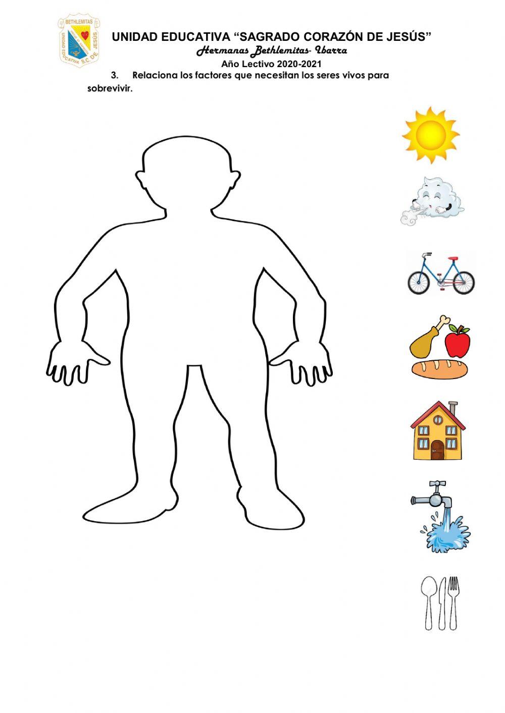 Evaluación Ciencias Naturales