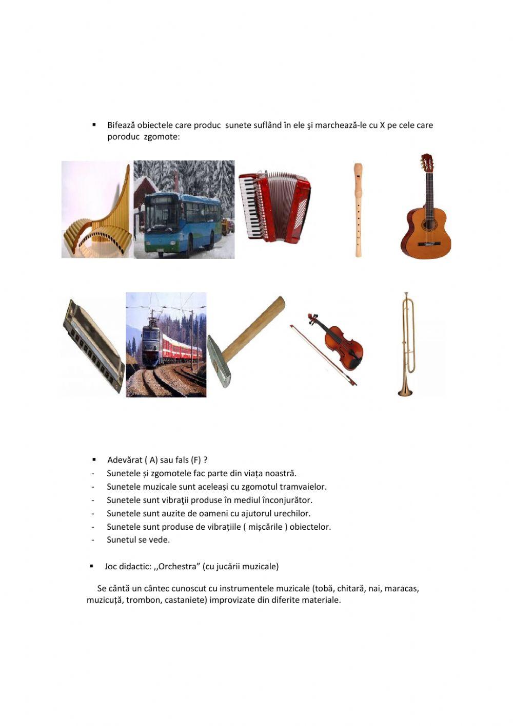 Unde şi vibraţii. Producerea şi propagarea sunetelor