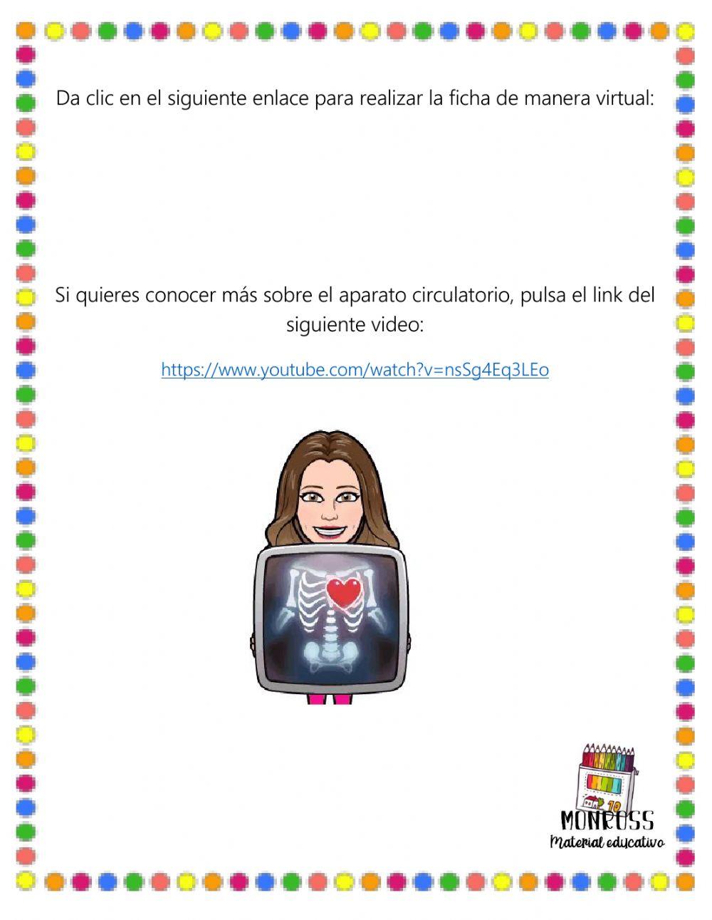 Aparato circulatorio