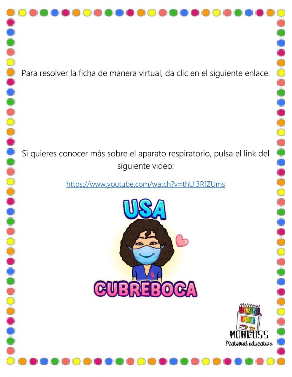 Sistema respiratorio