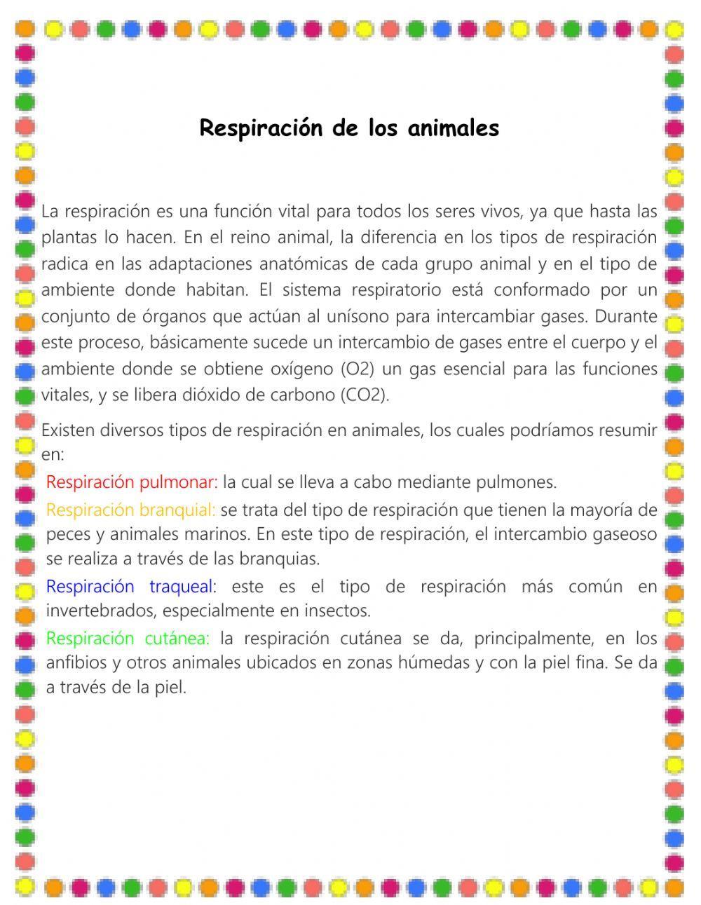 Respiración de los animales
