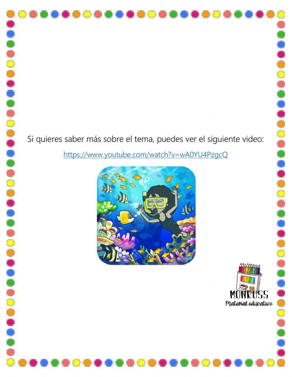 Respiración de los animales