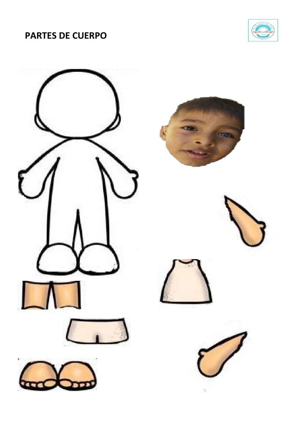 Ciro - partes del cuerpo