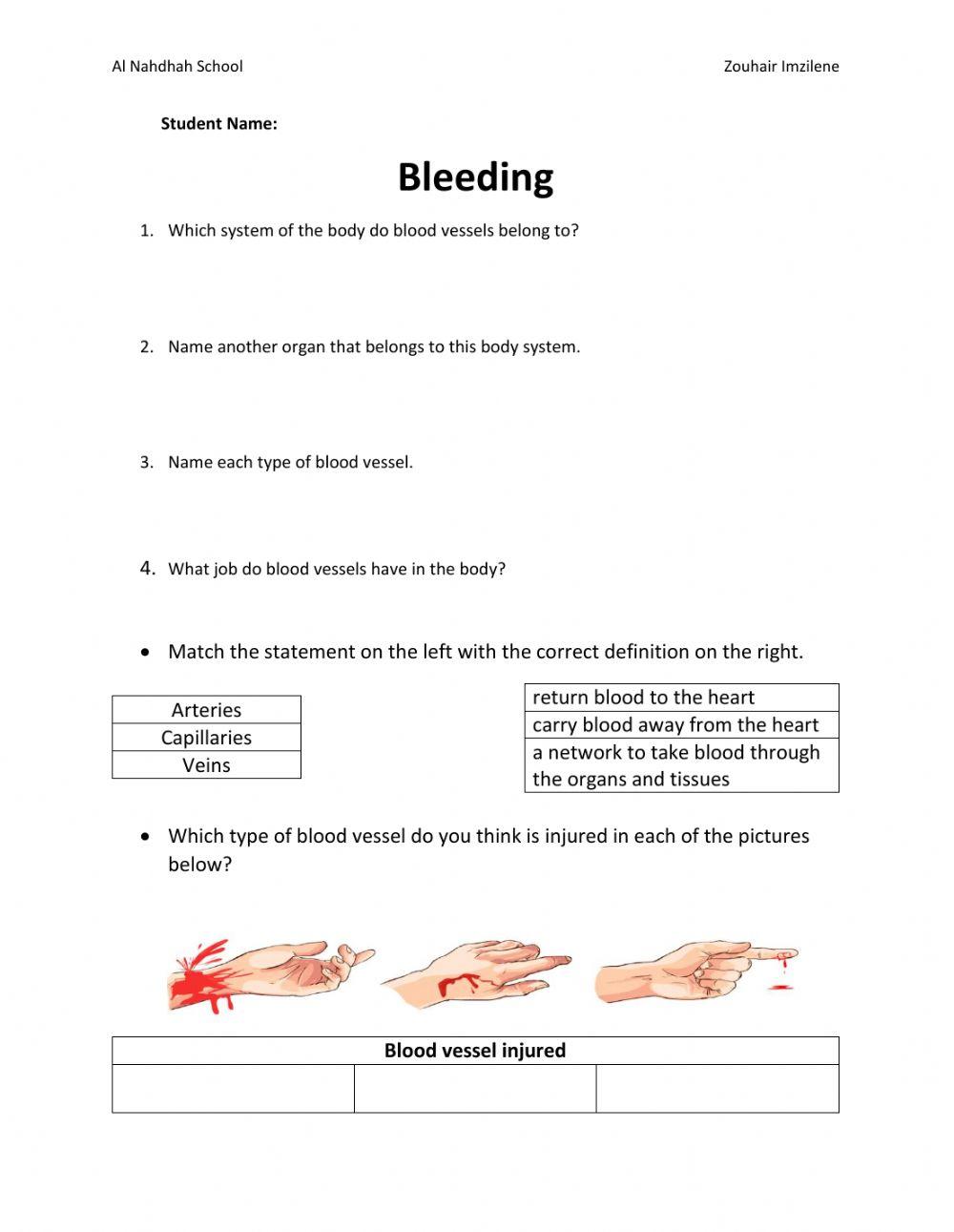 Bleeding Worksheet Answers