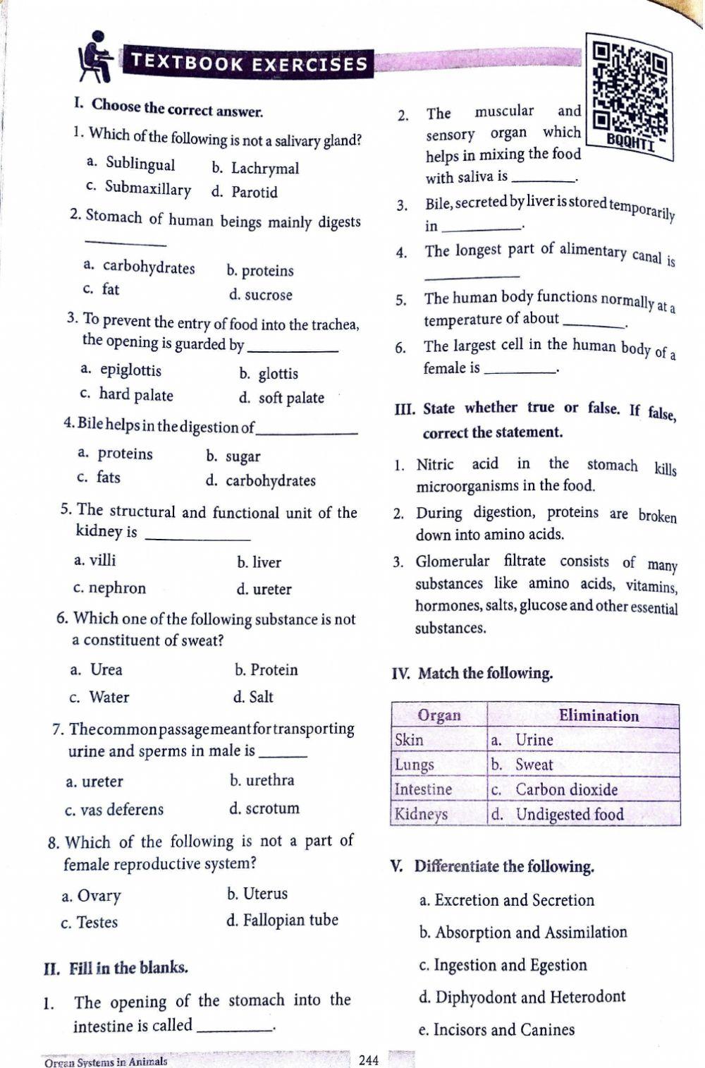 Body organs lesson  20GHSS MANIYANOOR