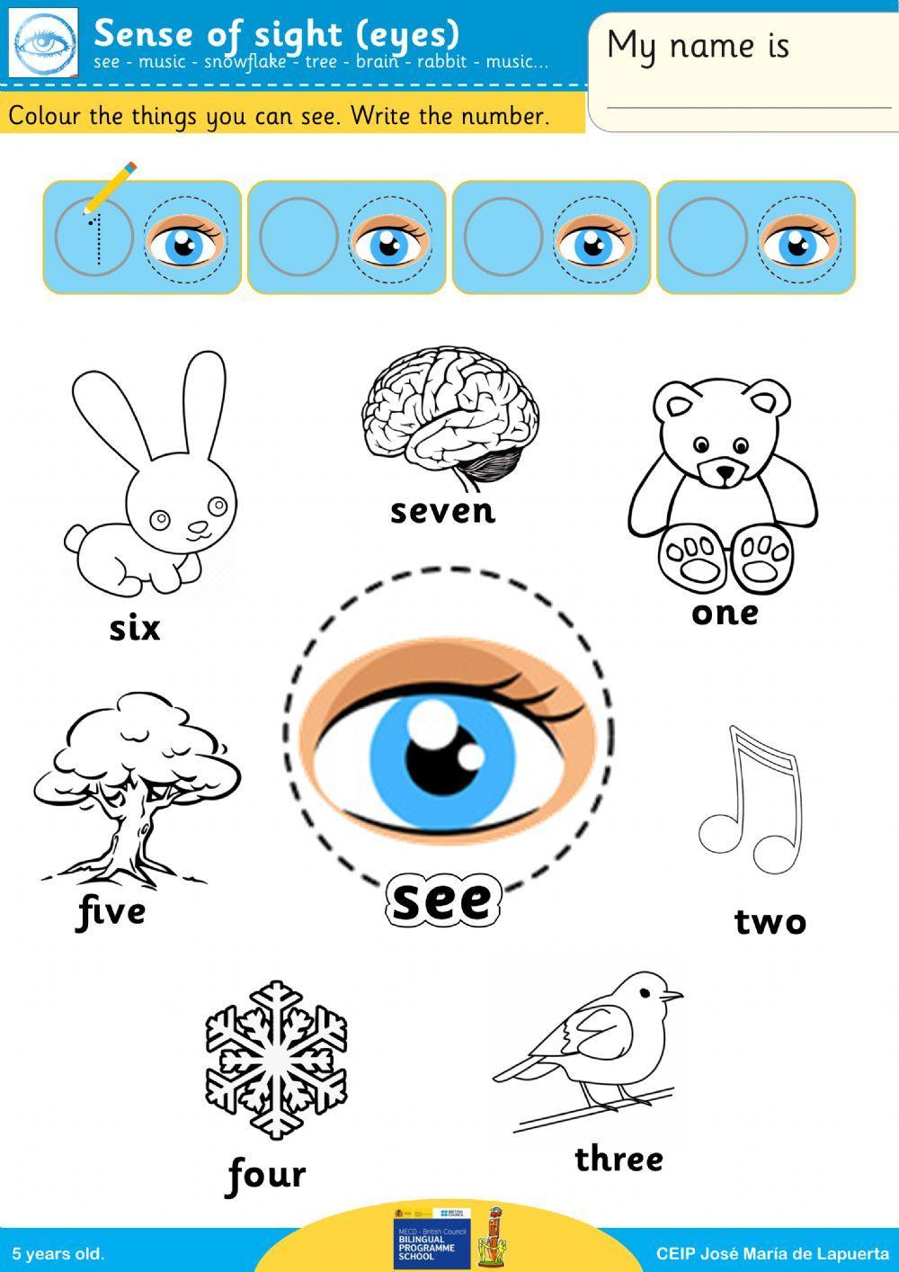 Sense of seeing