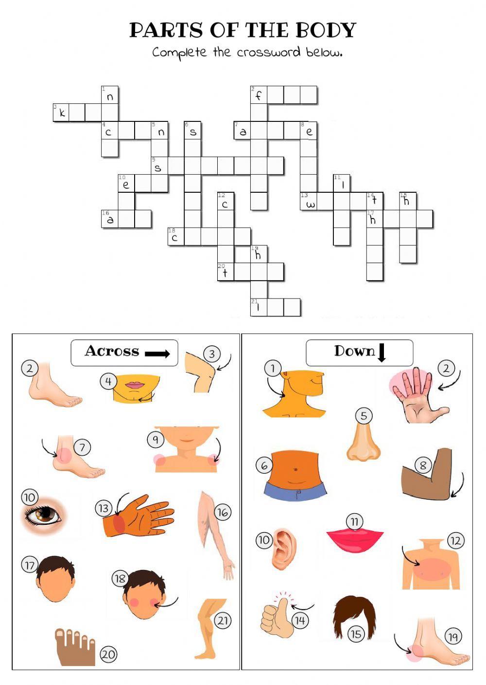 Parts of the body crossword