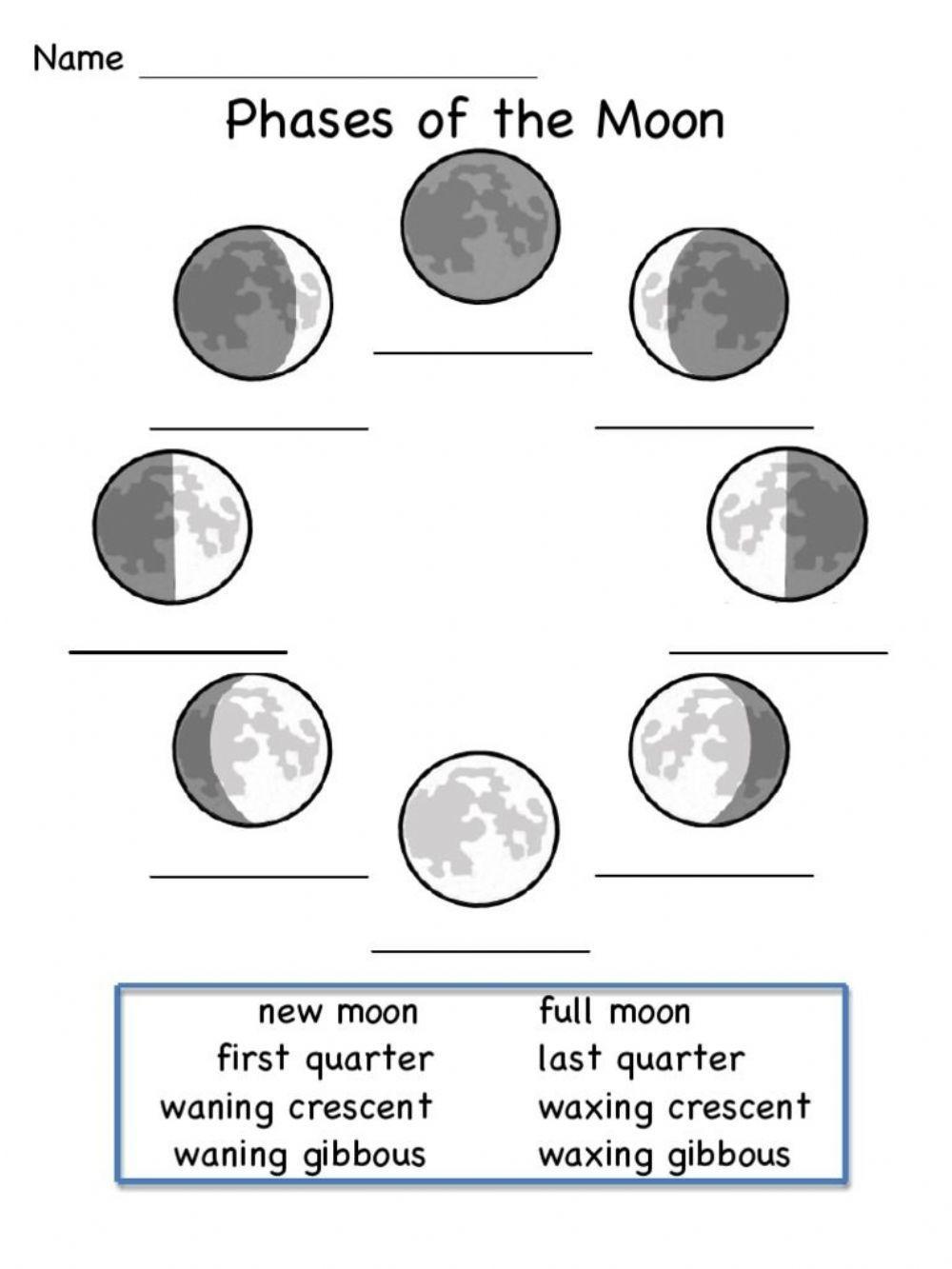 399536 moon phases seymam liveworksheets
