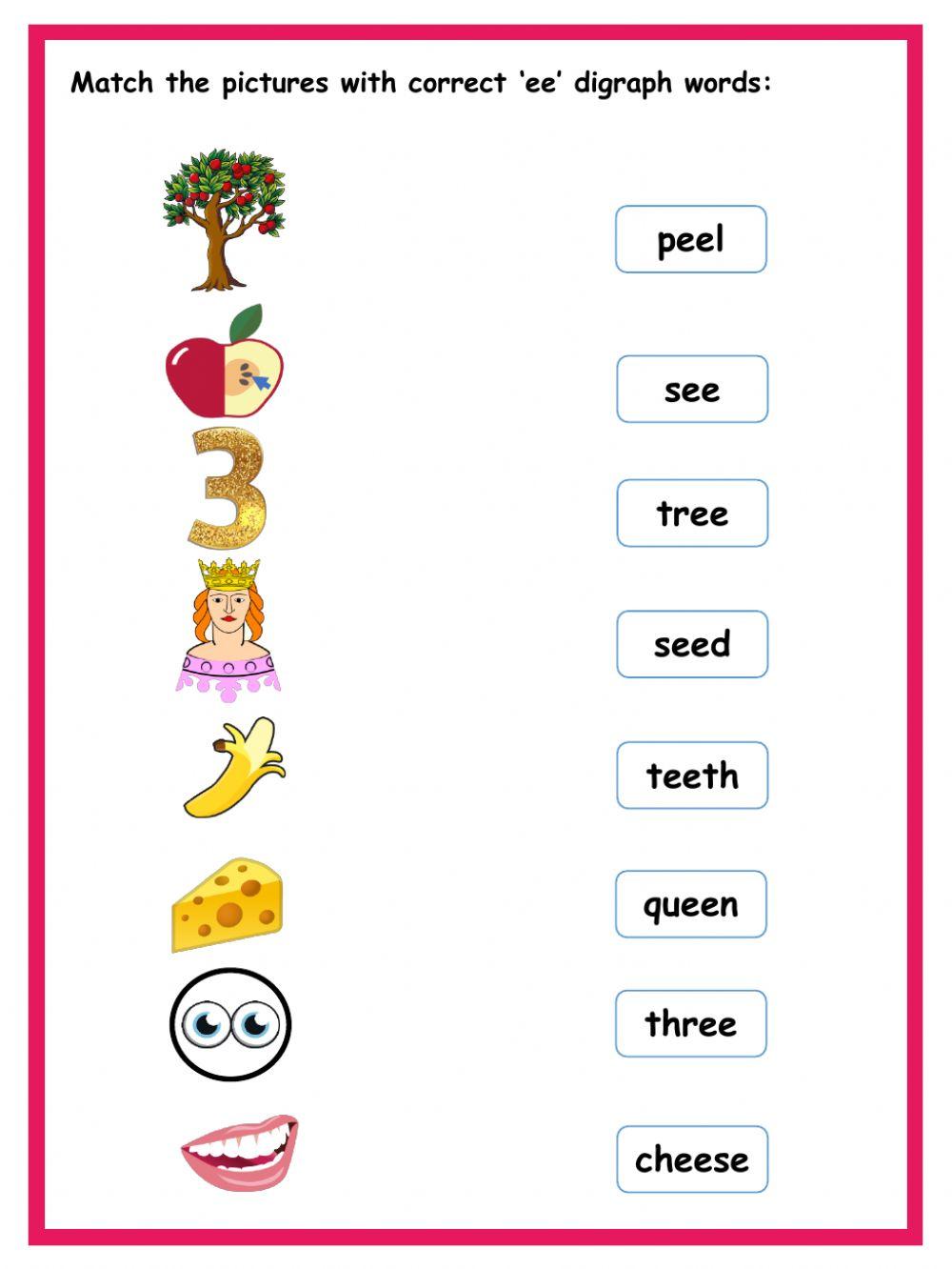 Activity ee digraph DAY 2