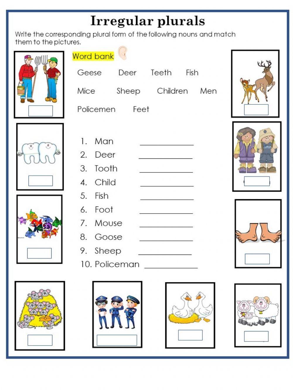 Irregular Plurals Activity For 1st Grade Live Worksheets