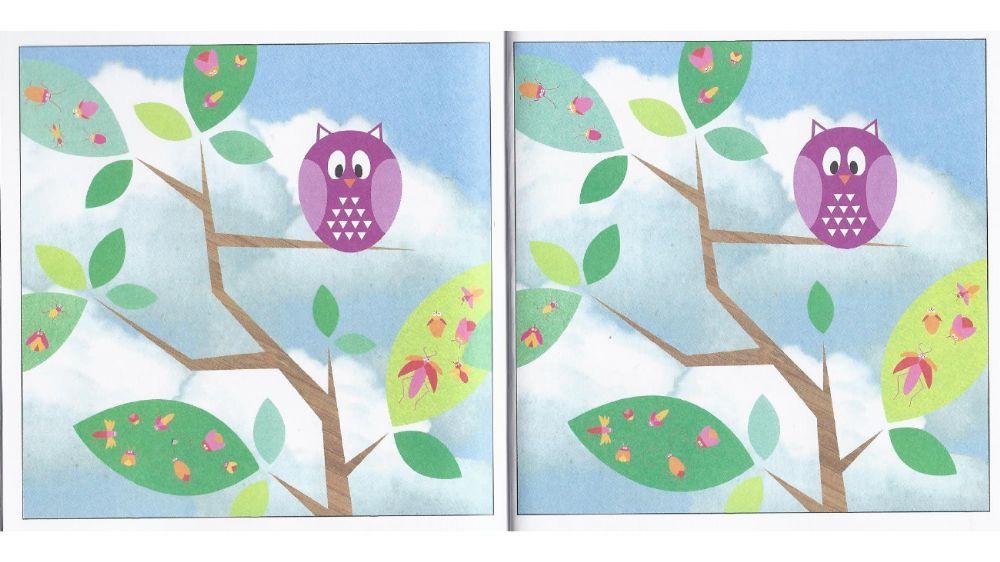 Trova i particolari mancanti