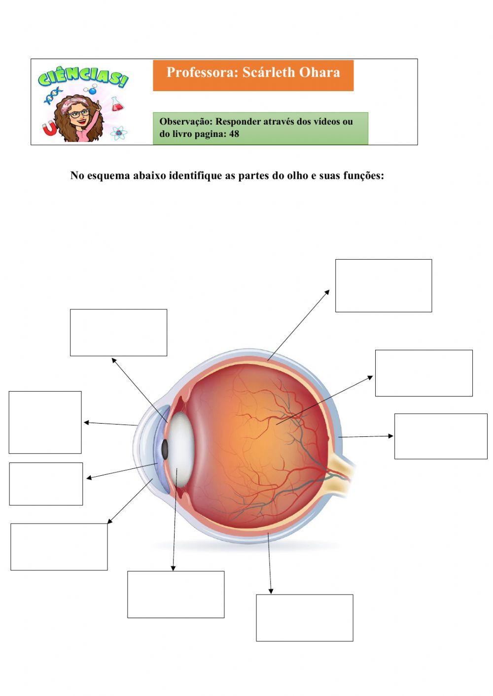 Como percebemos o ambiente e interagimos com ele?
