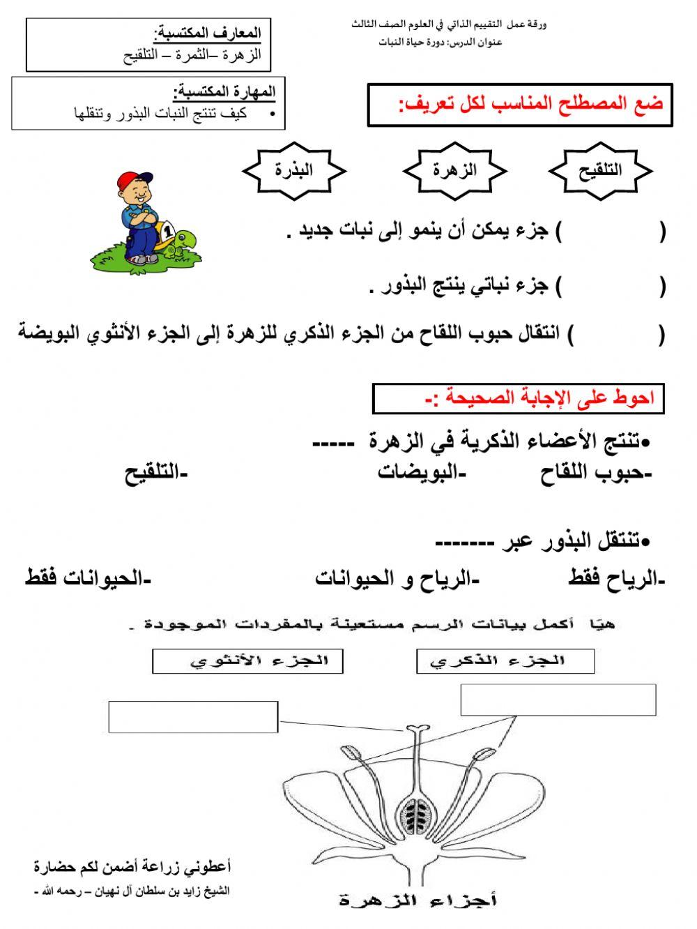 ورقة تقييم دورة حياة النبات