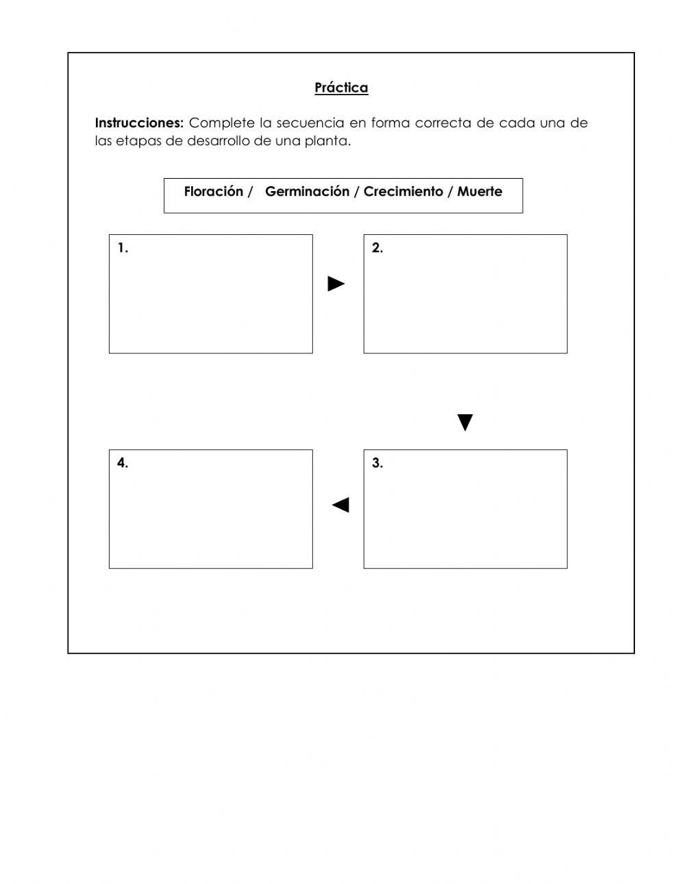 El Ciclo de la Planta
