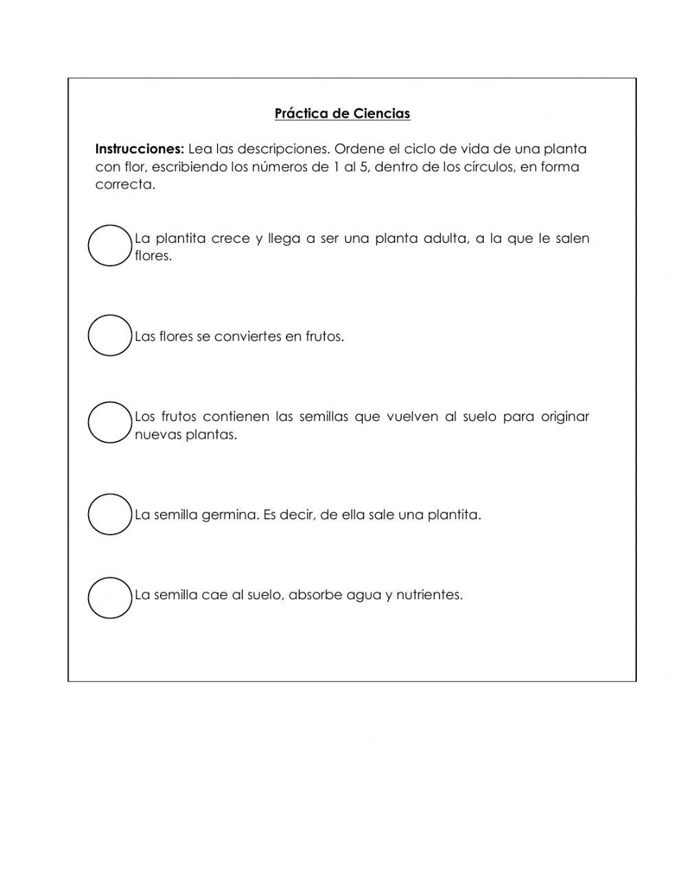 El Ciclo de la Planta