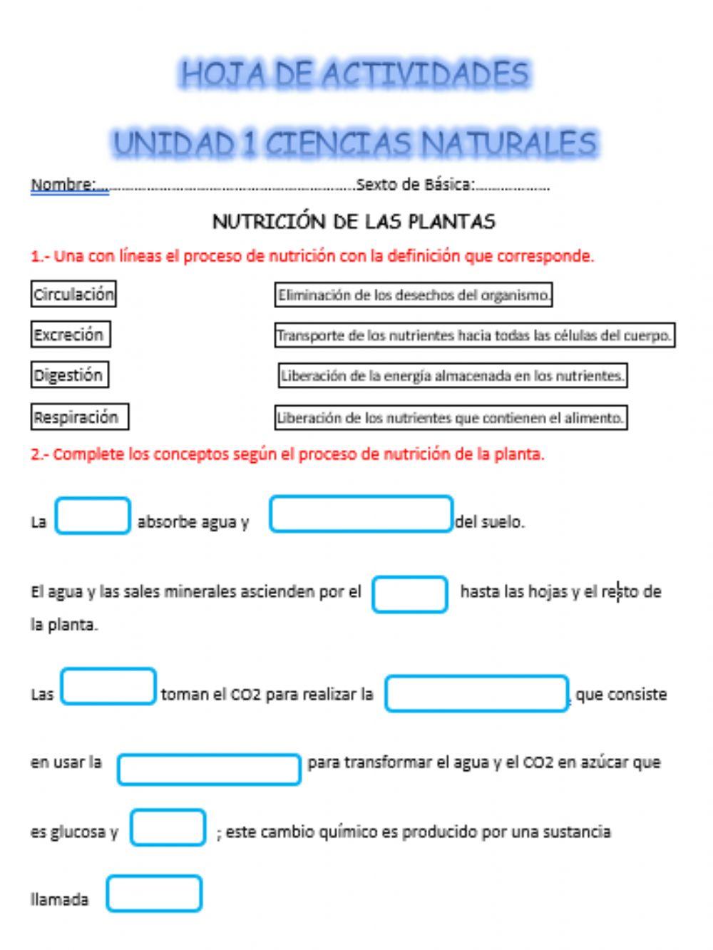 Nutrición de las plantas
