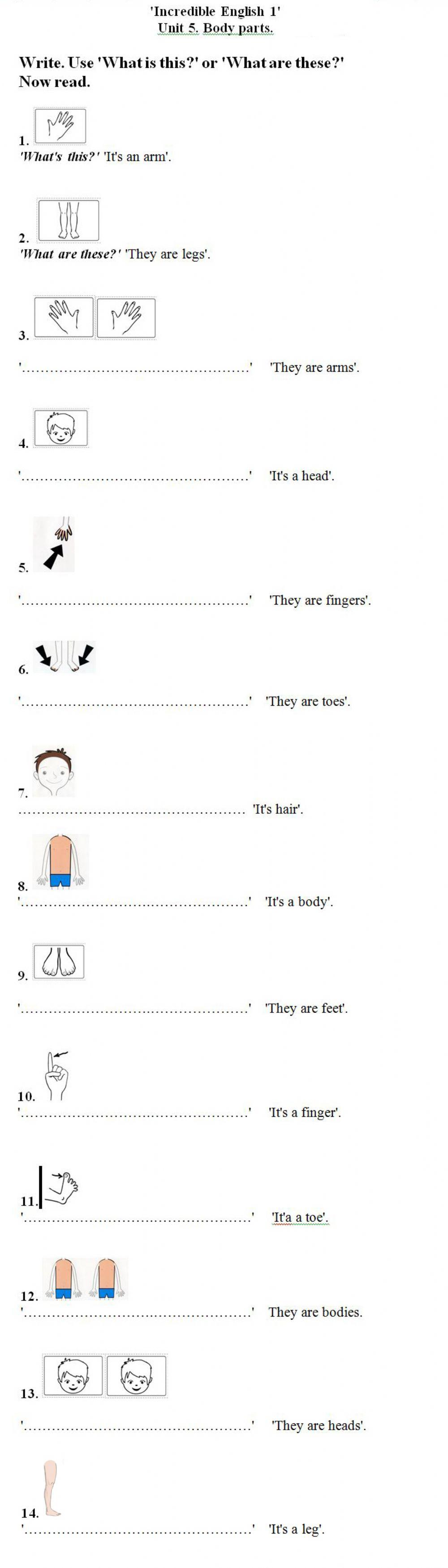 Incredible English. Unit 5. Body parts.