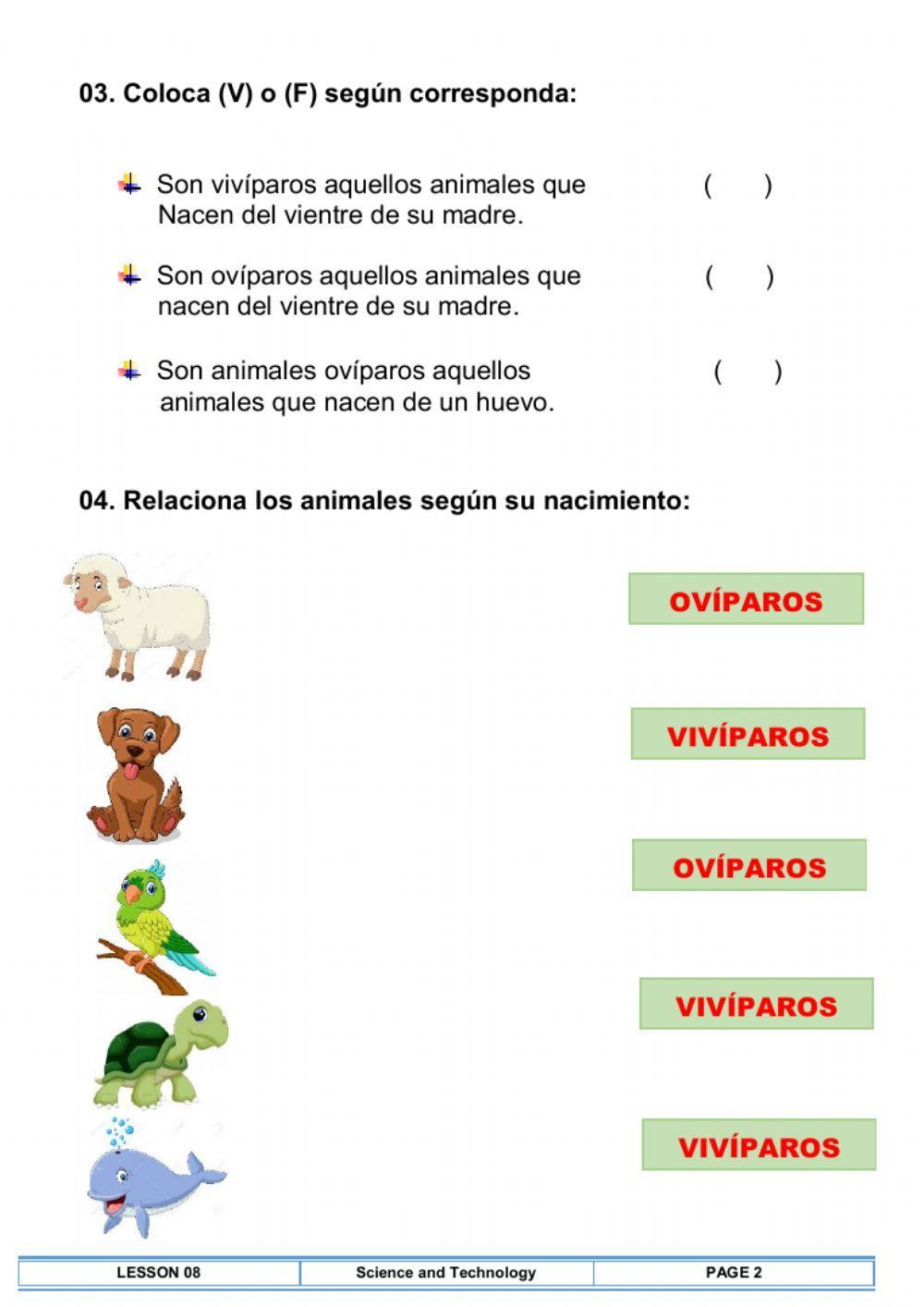 Animales ovíparos y vivíparos