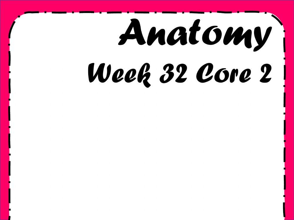 Human anatomy - week -