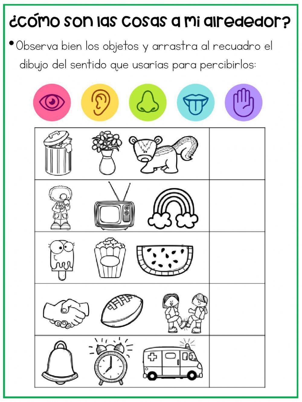 ¿Cómo son las cosas a mi alrededor?