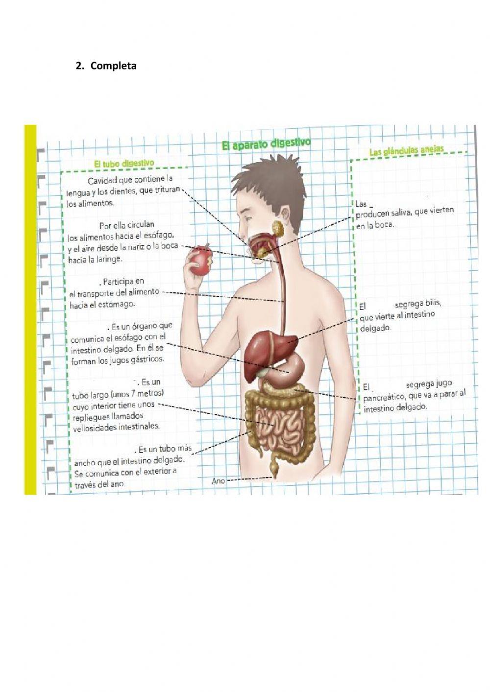 Las funciones vitales
