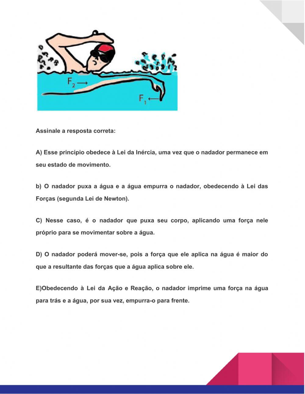 Atividade Interativa 1°ano