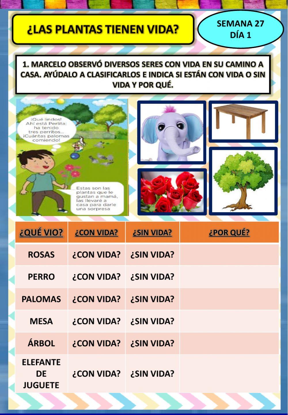 Las plantas tienen vida