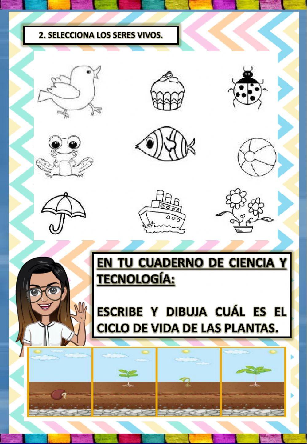 Las plantas tienen vida