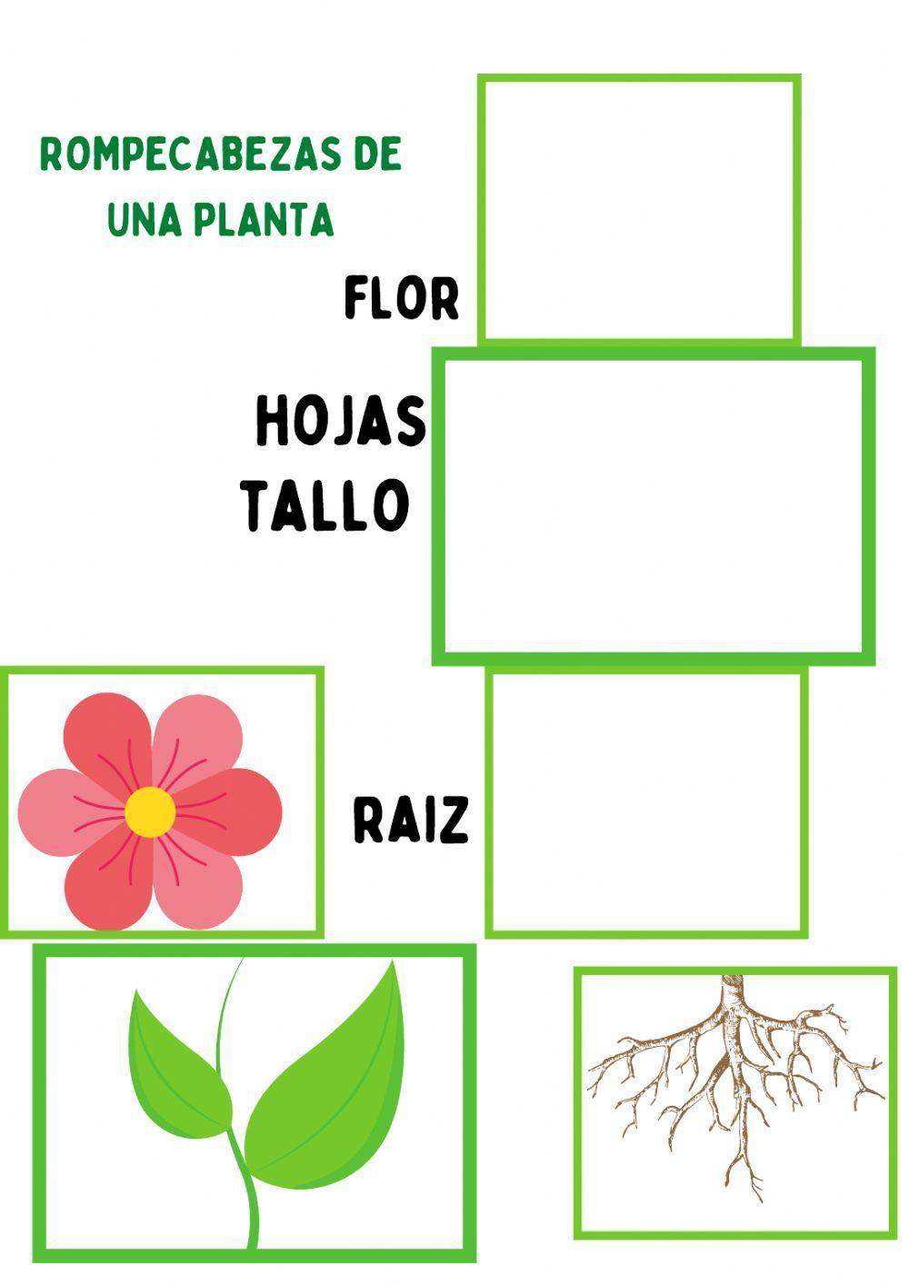 Rompecabezas de flor
