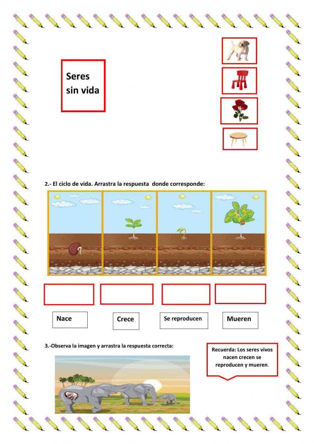 Ciclo de vida de las plantas