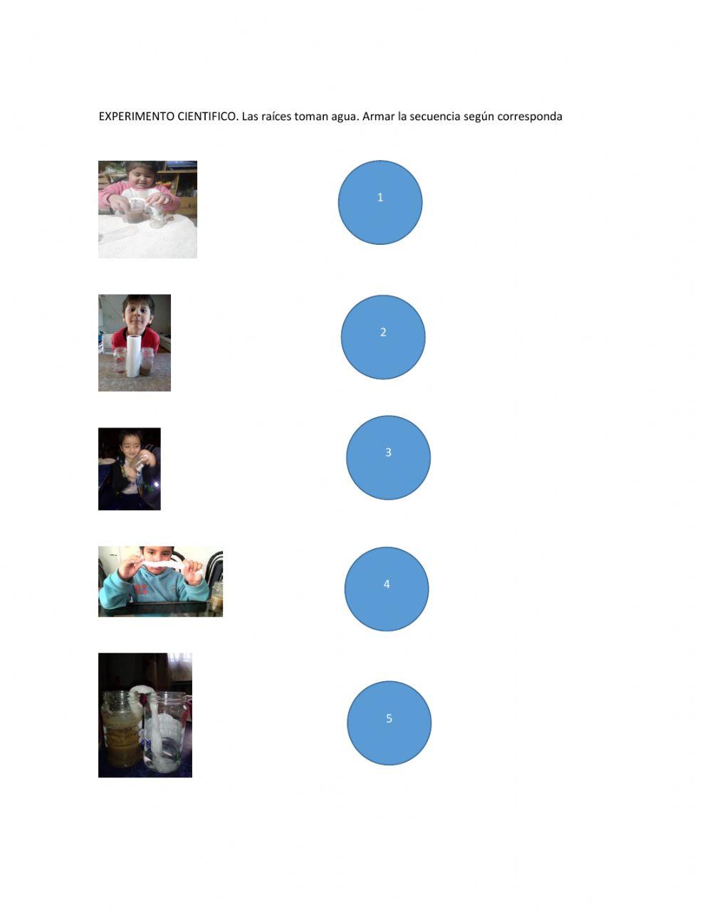 Experimento científico